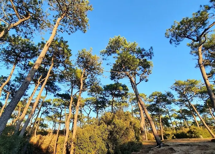 Le Petit Brevin Saint-Brevin-les-Pins