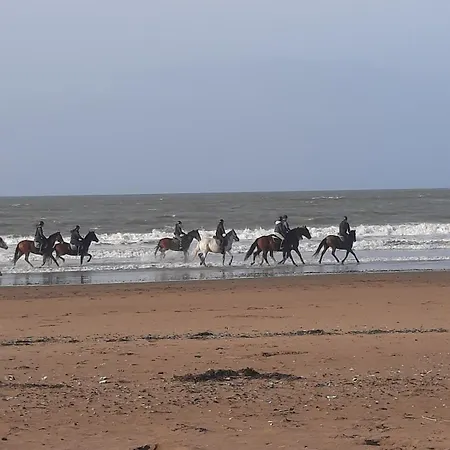 Lägenhet Le Petit Brevin