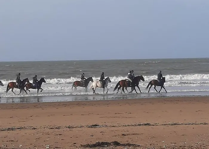 Lejlighed Le Petit Brevin