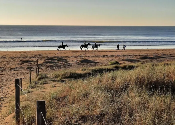 Le Petit Brevin Saint-Brévin-les-Pins